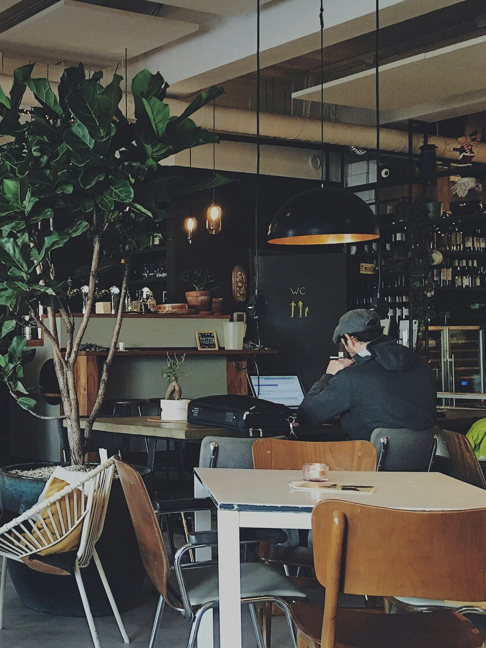 Café corner with a fiddle-leaf fig, warm pendant lights and small tables.